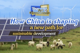 WhatsApp Image 2026-04-28 at 11.44.57