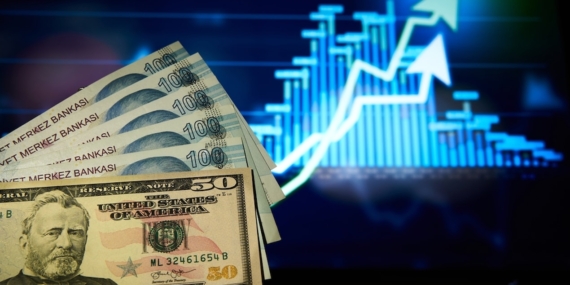 Dolar/TL Haftaya Yükselişle Başlayarak 49,1630 Seviyesiyle Tarihi Rekorunu Yeniledi