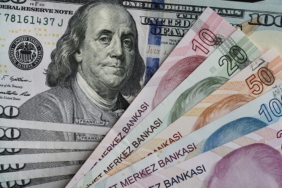 Döviz piyasasında dolar kuru 49,18 seviyesini test ederek rekor tazeledi