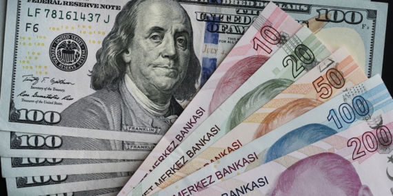 Döviz piyasasında dolar kuru 49,18 seviyesini test ederek rekor tazeledi