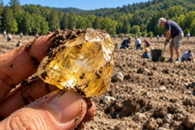 Crater of Diamonds Eyalet Parkı'nda 40 Karatın Üzerinde Değerli Taşlar Keşfedildi